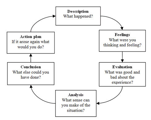 Reflective essay using johns