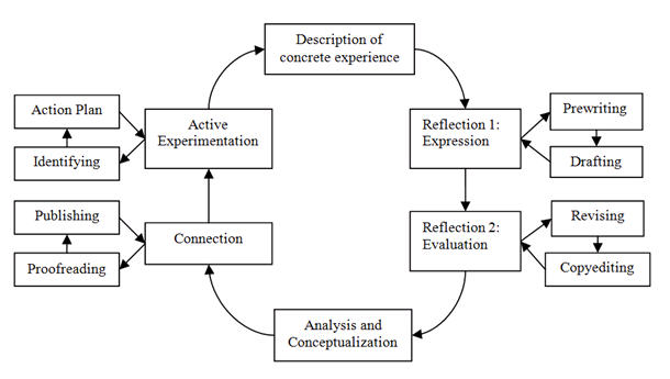 Emotion Focused Essay