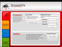 Figure 1. The student entry point for Drosophila has four tabs: (A) a user homepage where students can create a new account or log into an existing account (guest access is also allowed), (B) a brief background information page that describes the activity, (C) an animated tour with controls for pausing, rewinding, or jumping to different parts of the activity, and (D) a clickable map that provides access to the science content standards of each state and the national standards and shows how the Drosophila activity aligns to those standards.